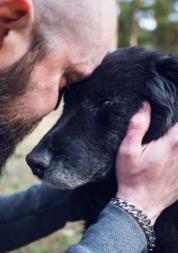  Sideways view of man holding an old dog and looking sad 